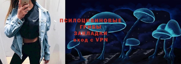 не бодяженный Осташков