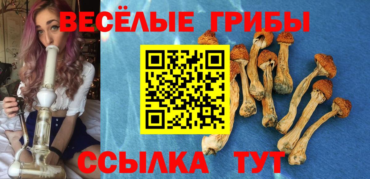 Галлюциногенные грибы GOLDEN TEACHER Ревда