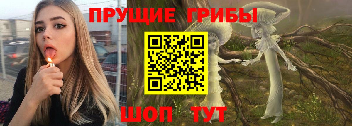 Псилоцибиновые грибы MAGIC MUSHROOMS  Вход с VPN  Ревда  Галлюциногенные грибы ЛСД 
